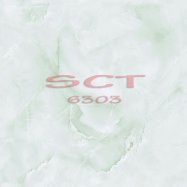 SCT6303