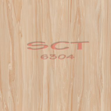 SCT6304