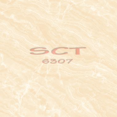 SCT6307